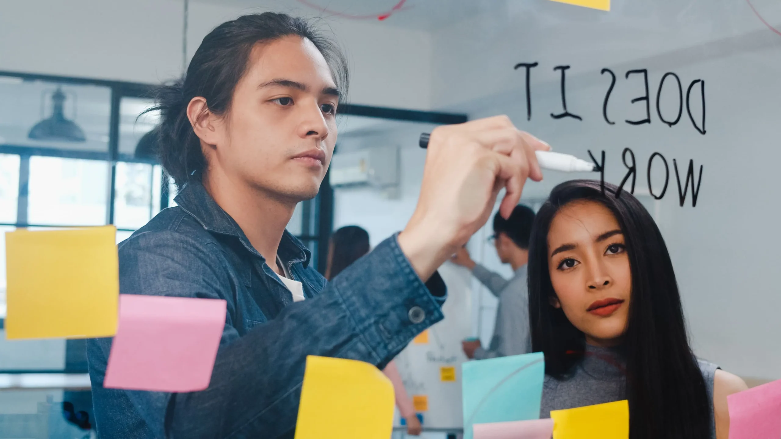 IT Startup Founder